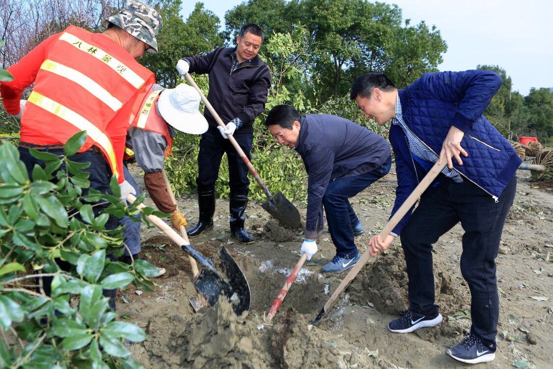 機關(guān)綜合支部黨員參與植樹.jpg