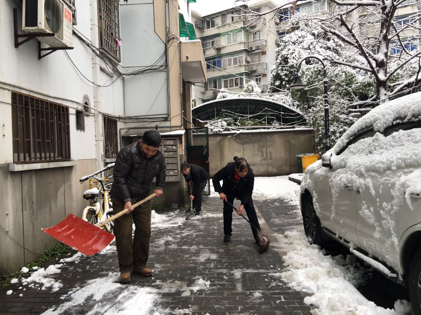 黨員參與掃雪.jpg 黨員參與掃雪.jpg
