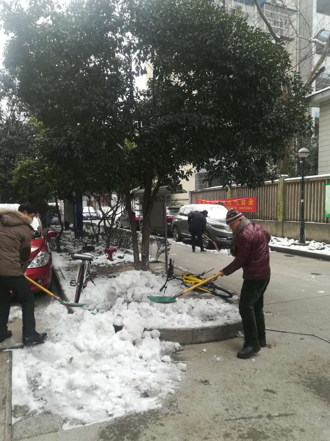 黨員參加掃雪行動.png