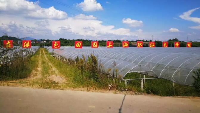 QQ截圖20180829163705.jpg