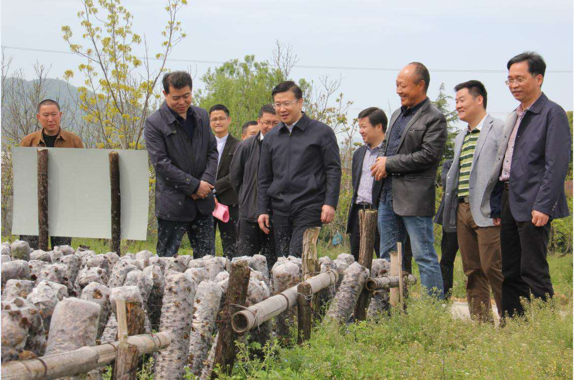 雜志社人事IMG_6905.JPG