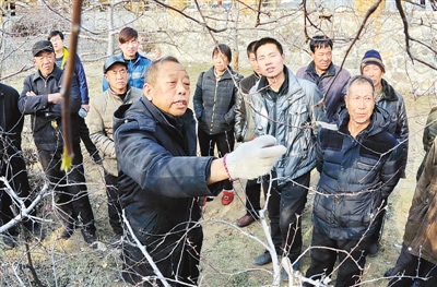 　李保國（前左）在河北省內(nèi)丘縣崗底村向村民講解果樹修剪知識（1月27日攝）。.jpg