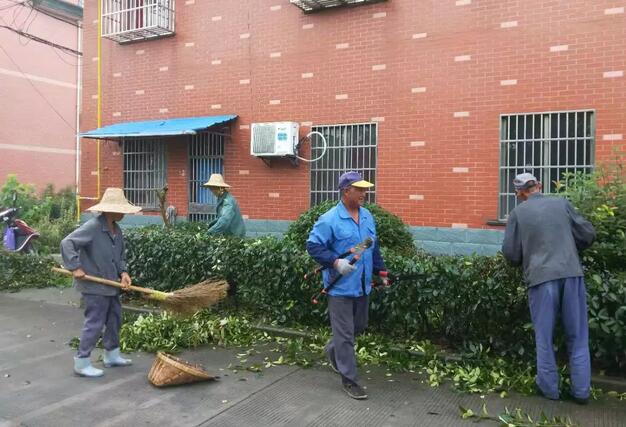 QQ截圖20181130173621.jpg QQ截圖20181130173621.jpg