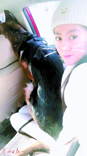 90后“寵物殯葬師”徐雅婷說，創(chuàng)業(yè)初衷是送寵物最后一程。