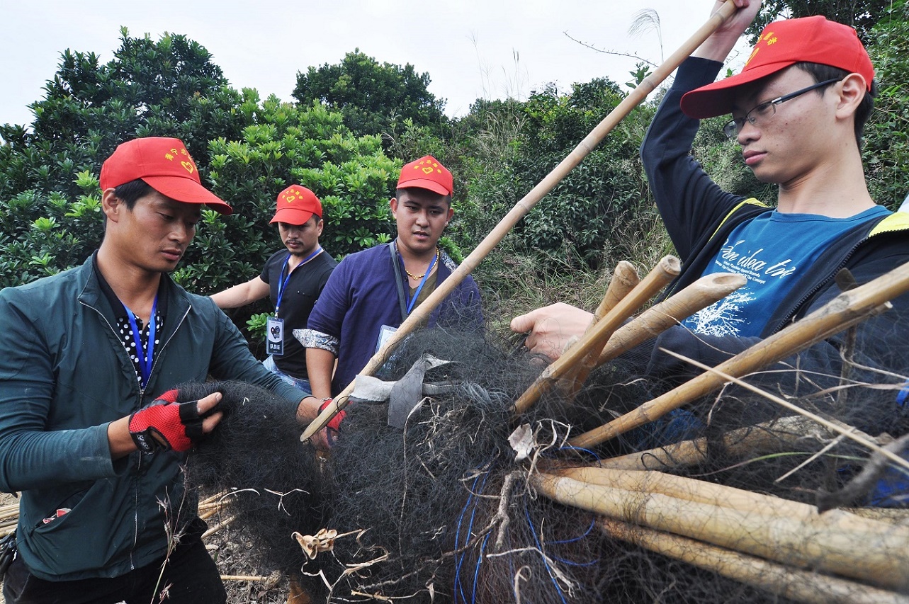 海寧綠色大地志愿服務(wù)隊在進行“愛鳥護鳥”拆除鳥網(wǎng)行動。來源：團市委.jpg