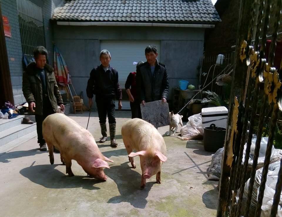 0.jpg