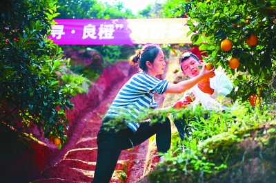 你的職業(yè)過時了嗎